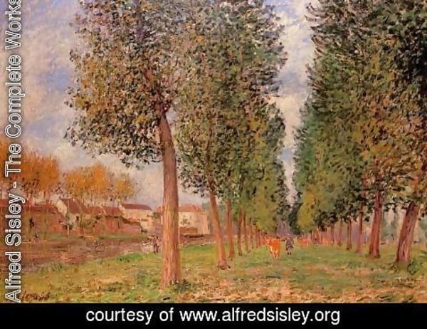 Alfred Sisley - The Poplar Avenue at Moret, Cloudy Day, Morning, 1888