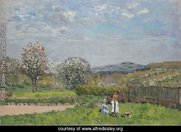Children playing in the Meadow