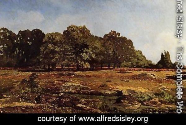 Alfred Sisley - Avenue of Chestnut Trees at La Celle-Saint-Cloud, c.1866-67