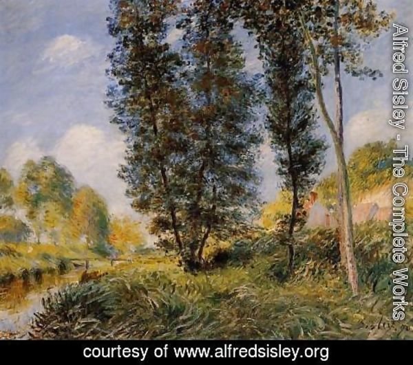 Alfred Sisley - Banks of the Orvanne