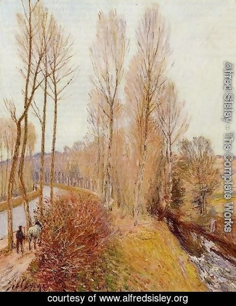 Alfred Sisley - Path along the Loing Canal