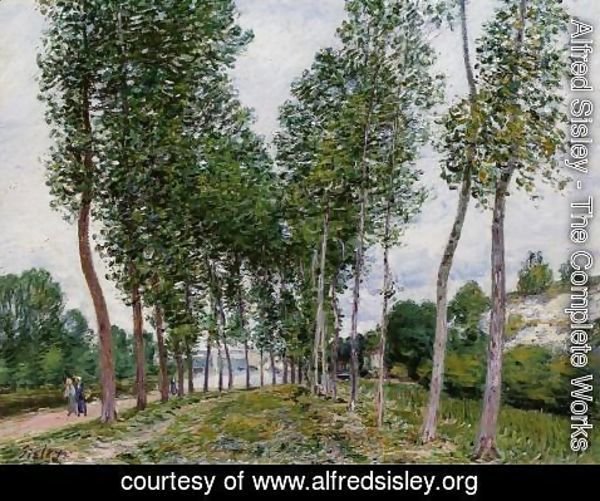 Alfred Sisley - Lane of Poplars on the Banks of the Loing