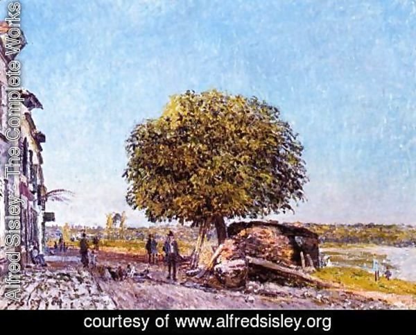 Alfred Sisley - Chestnut Tree at Saint-Mammes