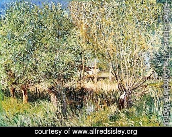 Alfred Sisley - Willows on the Banks of the Orvanne