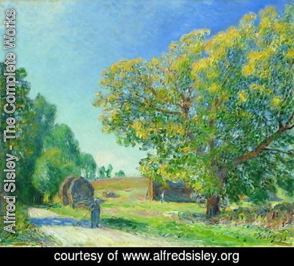 Alfred Sisley - A Forest Clearing