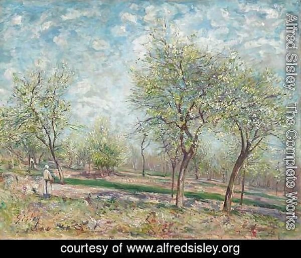 Alfred Sisley - Apple Trees in Bloom