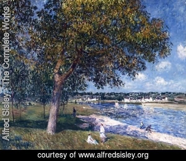 Alfred Sisley - Walnut Tree in a Thomery Field