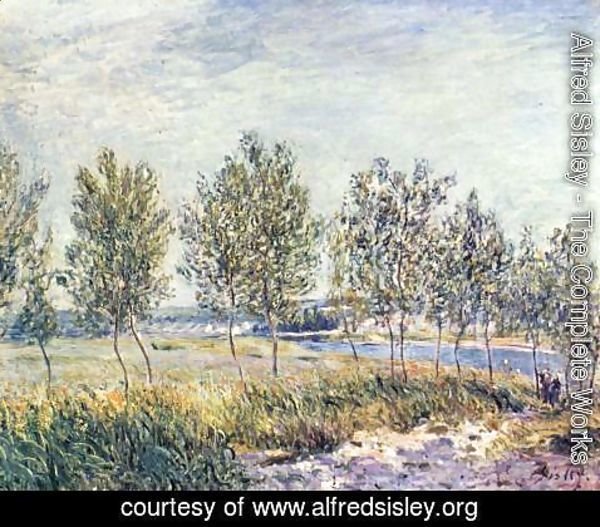 Alfred Sisley - Meadow in By