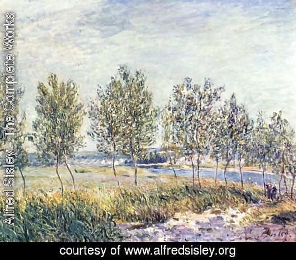 Alfred Sisley - Wiese By