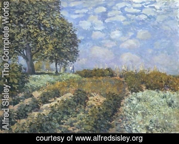 Alfred Sisley - The Fields