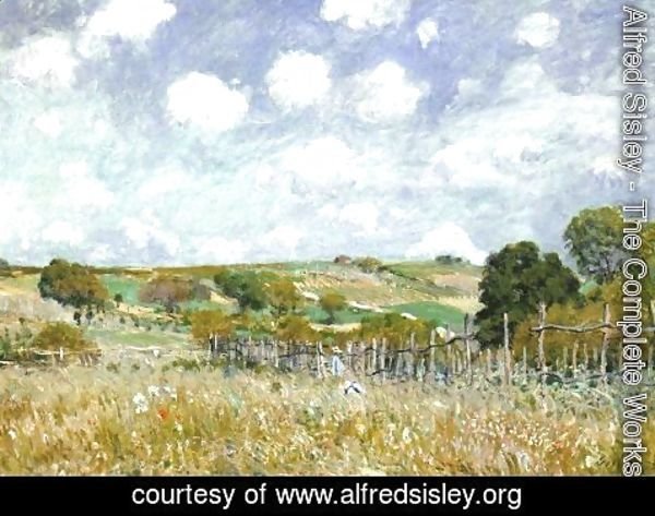 Alfred Sisley - Meadow 1875