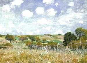 Meadow 1875