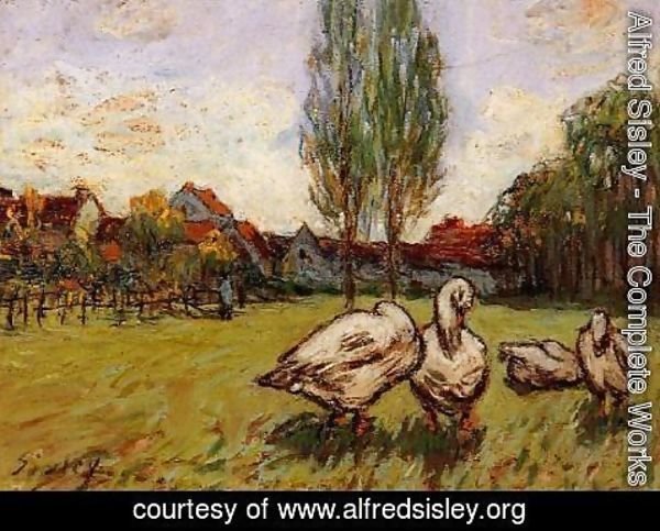 Alfred Sisley - Geese