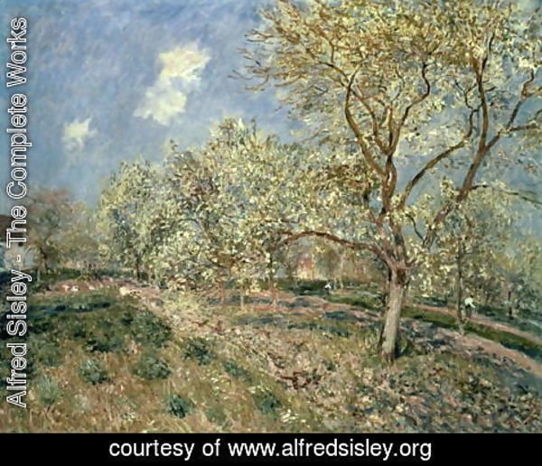 Alfred Sisley - Springtime at Veneux, 1880