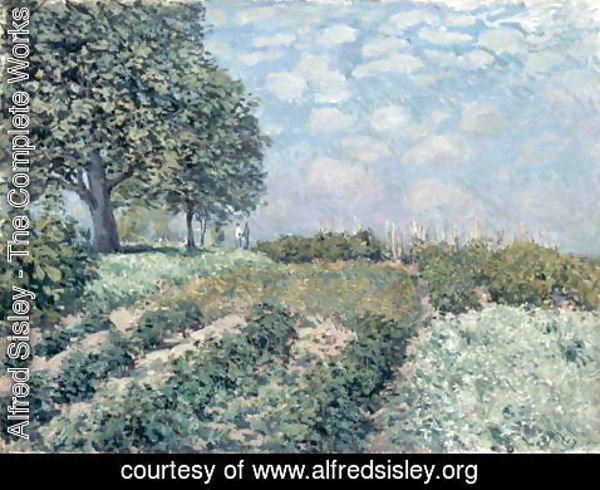 Alfred Sisley - The Market Gardens, 1874