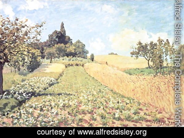 Alfred Sisley - Wheat Field