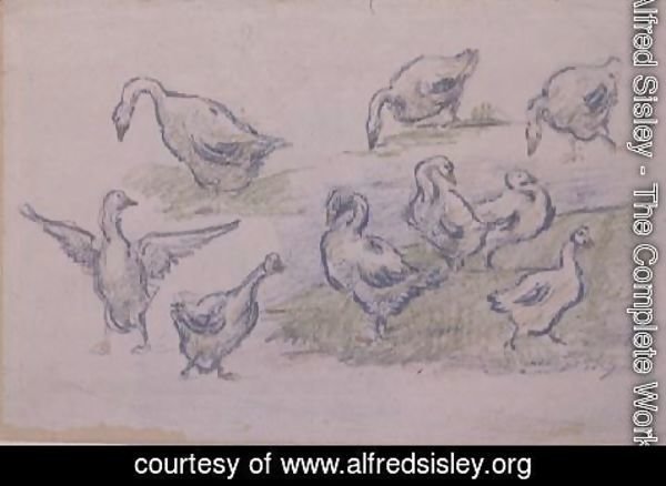 Alfred Sisley - Ducks