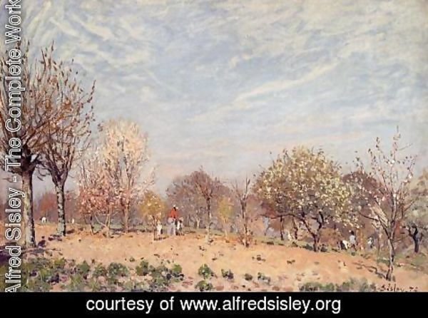 Alfred Sisley - Apple Trees in Flower, Spring Morning