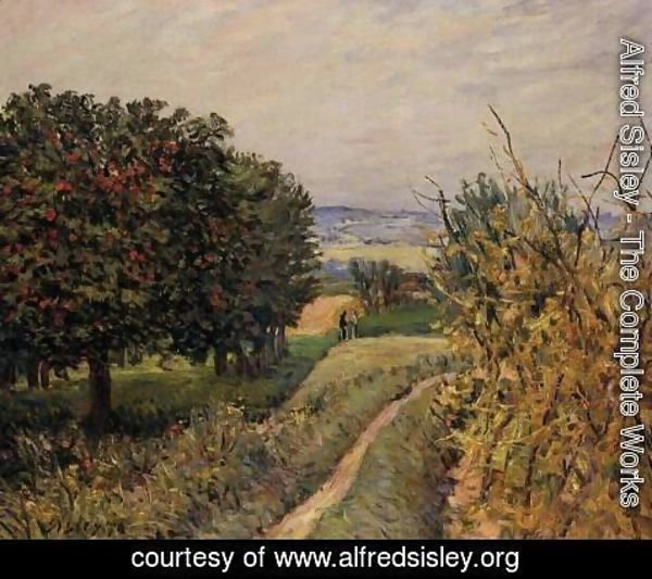 Alfred Sisley - Among the Vines near Louveciennes