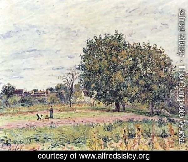 Alfred Sisley - Walnut Trees, Sunset - Early Days of October