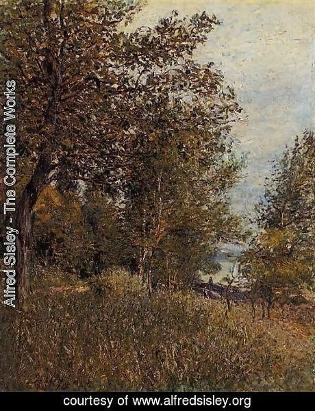 Alfred Sisley - A Corner of the Roches-Courtaut Woods, June