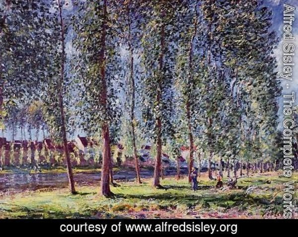 Alfred Sisley - Lane of Poplars at Moret