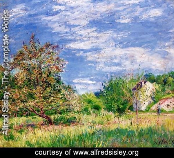 Alfred Sisley - Orchard in Spring I