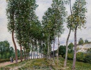 Alfred Sisley - Lane of Poplars on the Banks of the Loing