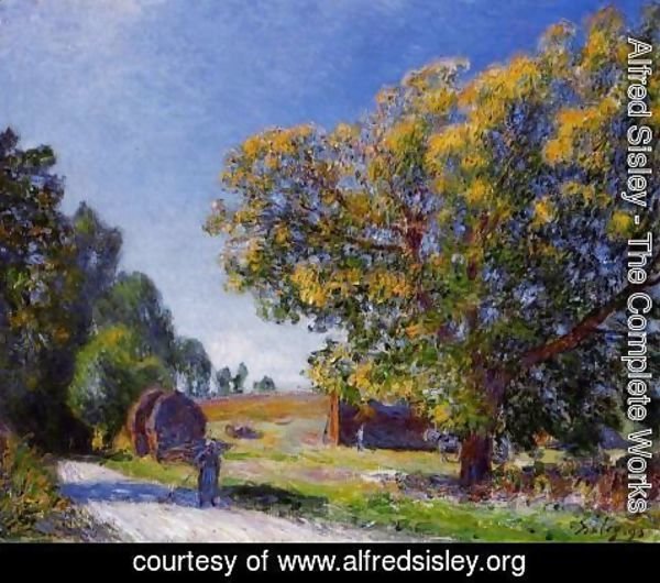 Alfred Sisley - Fields around the Forest