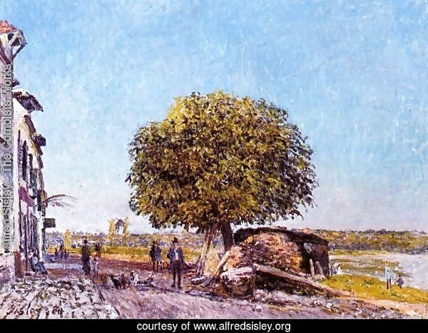 Chestnut Tree at Saint-Mammes