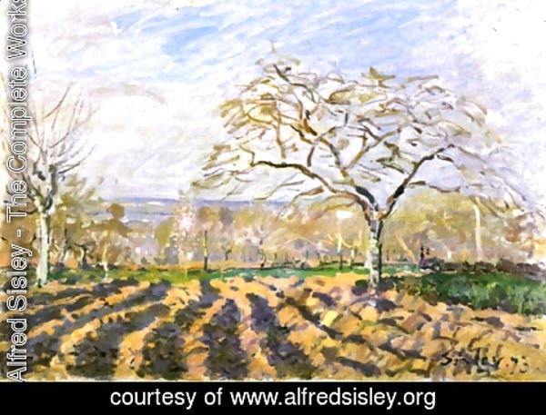 Alfred Sisley - The Furrows