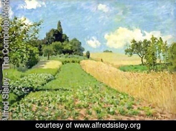 Alfred Sisley - The Cornfield