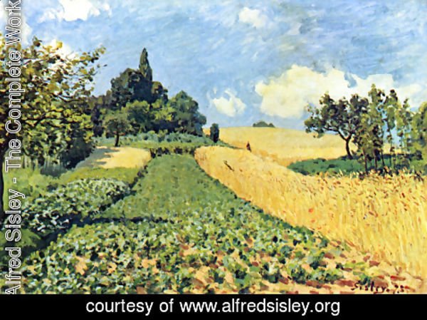 Alfred Sisley - 