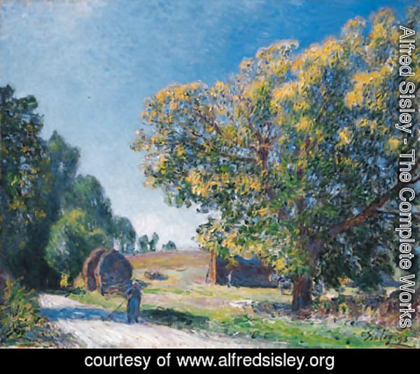 Alfred Sisley - Autour de la foret, une clairiere