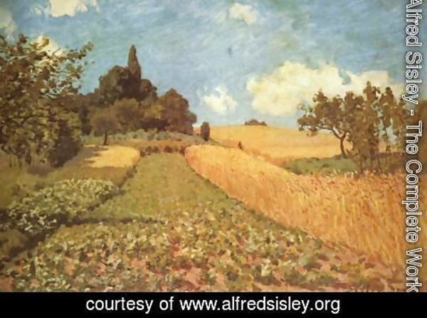 Alfred Sisley - Cornfield