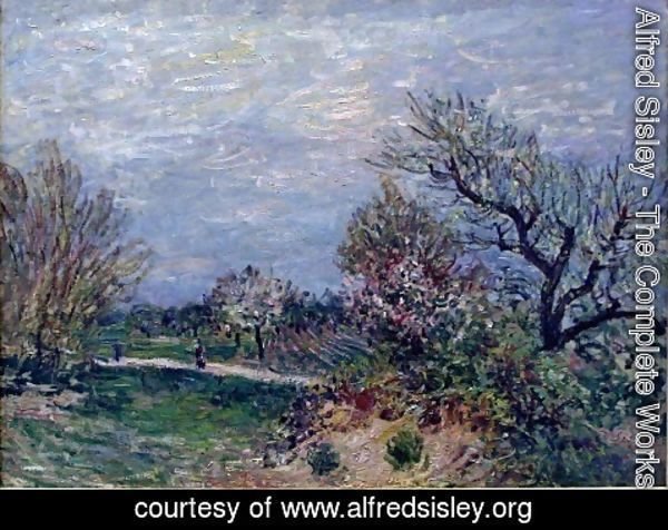 Alfred Sisley - Border of the Woods